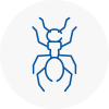 Ant Removals In Rossington