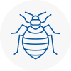 Bed Bug Extermination In Rossington