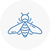 Bee Nest Removal Rossington