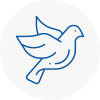 Bird Prevention Rossington