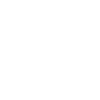 Domestic Ant Control For Rossington