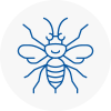 Rossington Hornet Nest Removals