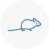Mice Exterminators In Rossington