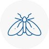 Moth Control Specialists In Rossington