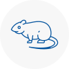 Rat Control Rossington