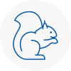 Rossington Rodent Removals